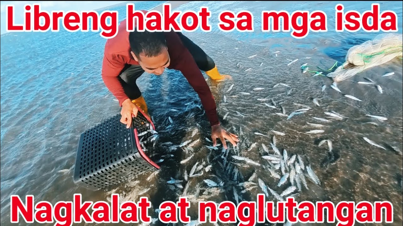 Halla anu ito?natuyuan ang grupo grupong isda sa laot