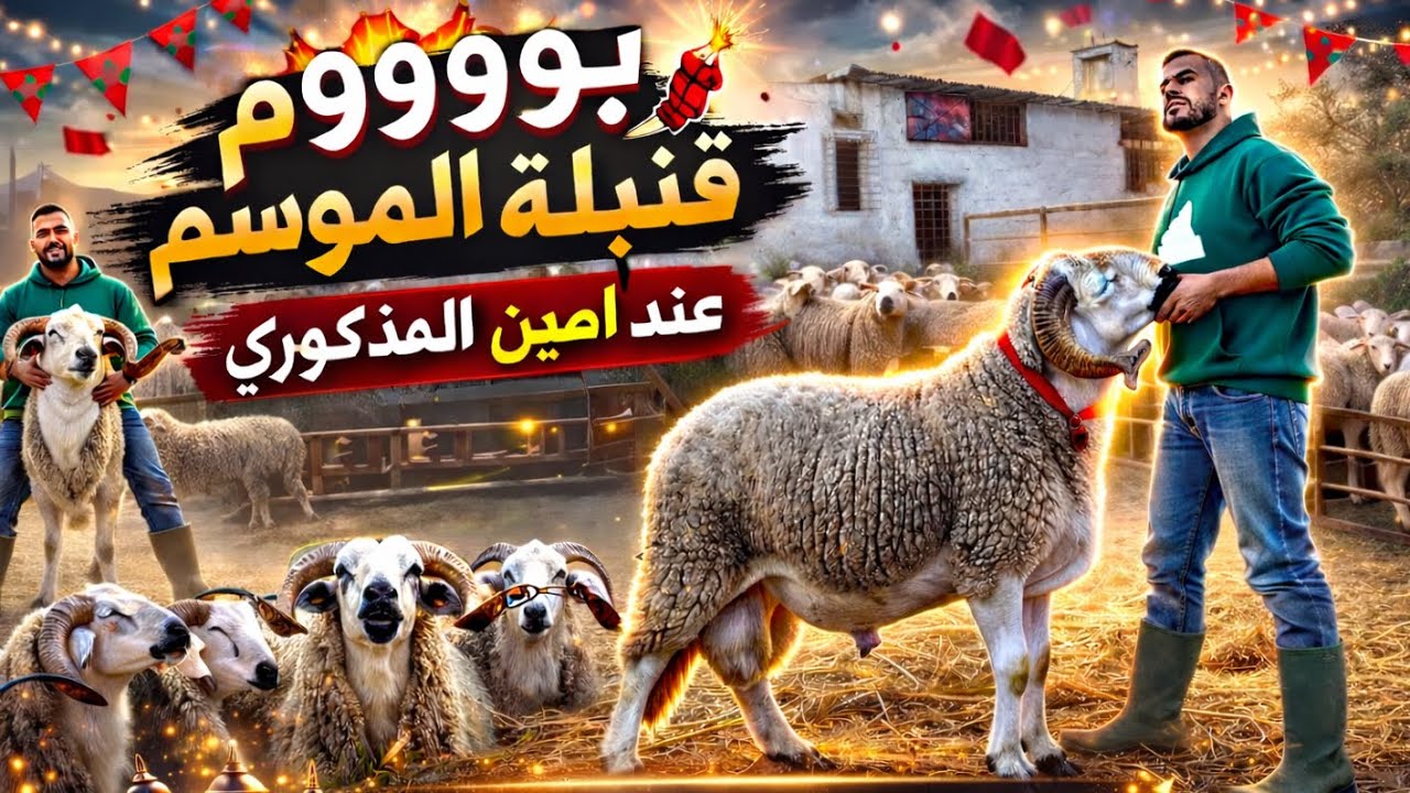 الجزء الثاني: قنبلة الموسم أحجام كبيرة الصردي عند أمين المذكوري🔥