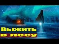 ⚡ЗИМНЯЯ РЫБАЛКА НА СЕТИ ПО ЛЬДУ В ГЛУХОМ ЛЕСУ!  Рыбалка на леща.  Рыбалка на леща зимой