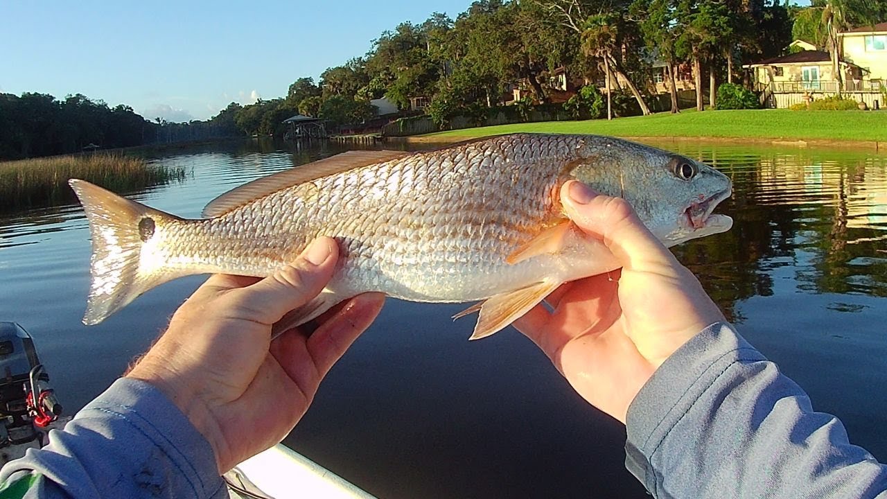 First Redfish In New Boat, Plus Keeper Flounder And Big Blue Crab!!!  JACKSONVILLE, FLORIDA