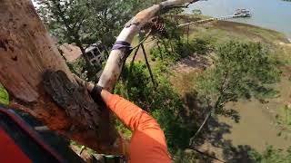 Celebrity Speed lining a DEAD pine!!! Wealth