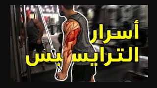 عضلات الترايسيبس حلهل مع رياض الصرافي