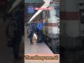 लोको पायलट और पैसेंजर ये कैसा रिश्ता #therailwaymen #viralshorts #shortsfeed #viralvideos #locopilot