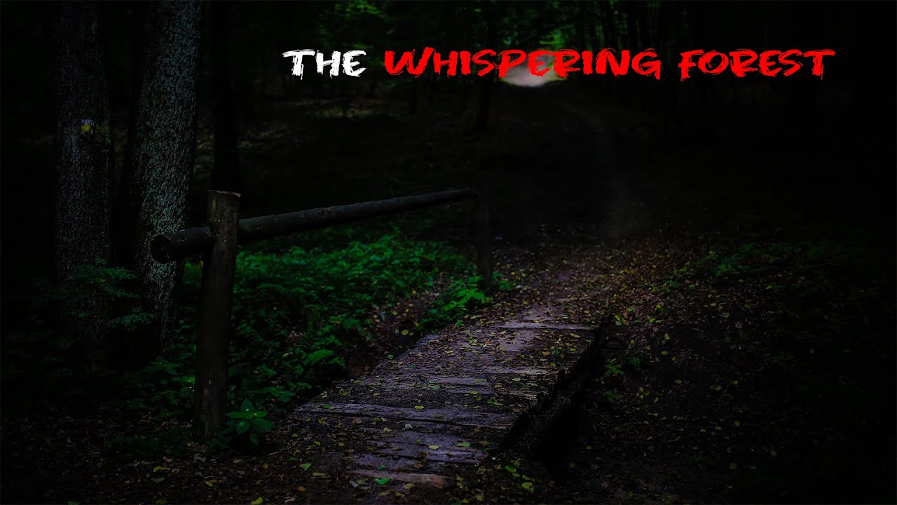 3 Disturbing TRUE Stories The Whispering Forest