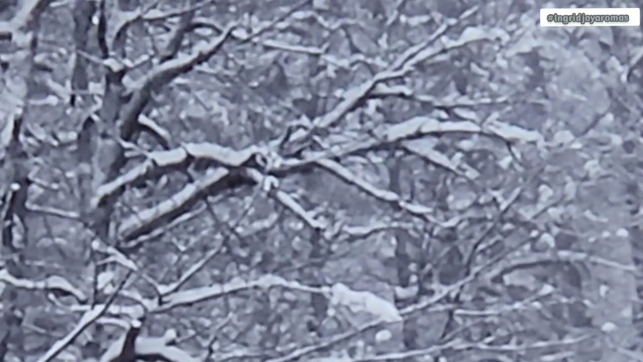 White noise & water sound lovers• Nighttime aromatherapy routines