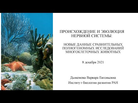 В.Дьяконова. Новые данные о происхождении и эволюции нервной системы