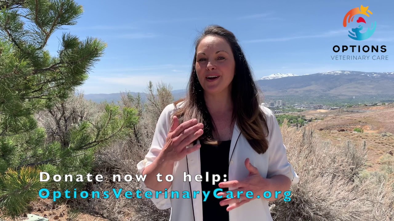 Donate to Options Veterinary Care Reno Nevada nonprofit lowcost