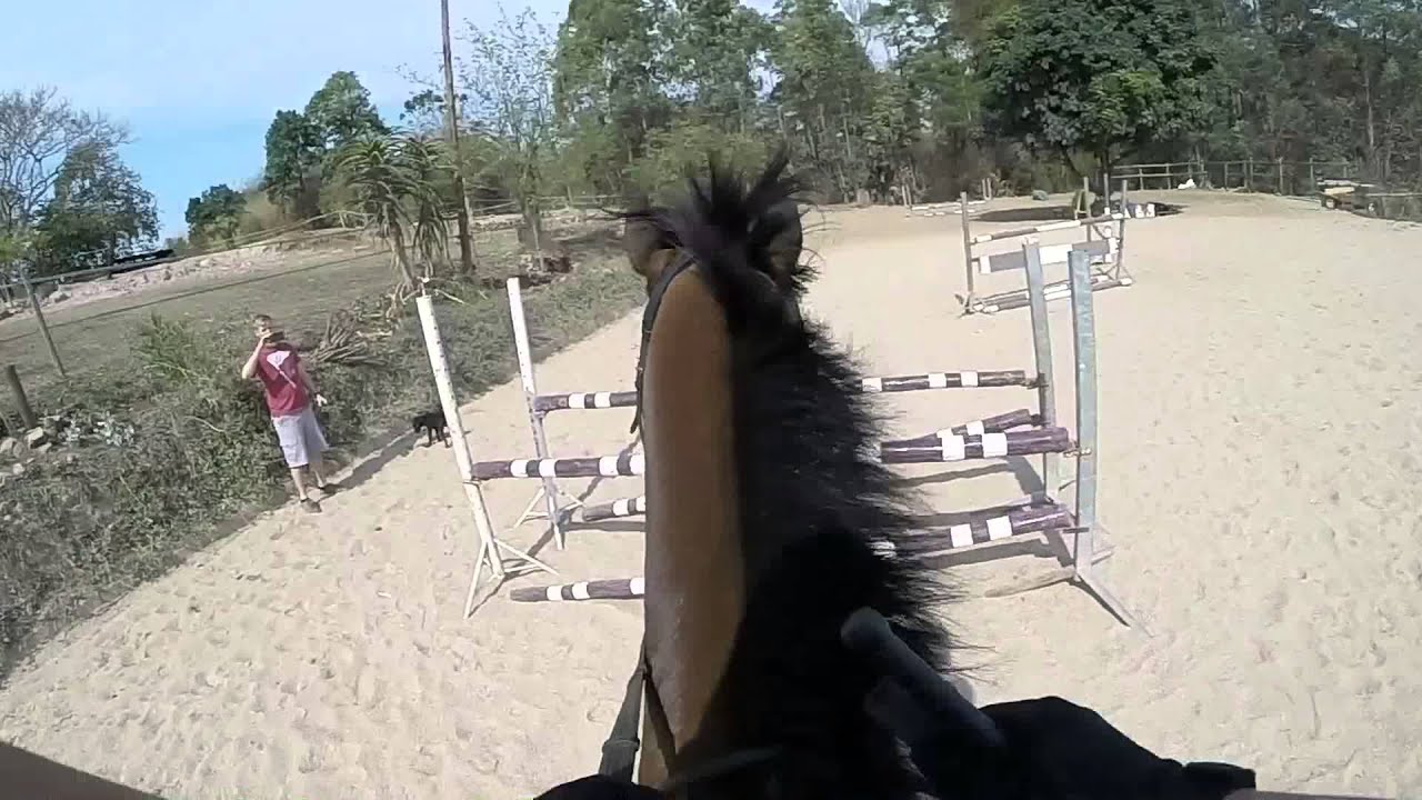 Horse Jumping GoPro YouTube