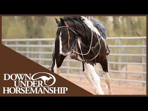 Clinton Anderson: Post 'N Circle — Best Riding Exercise