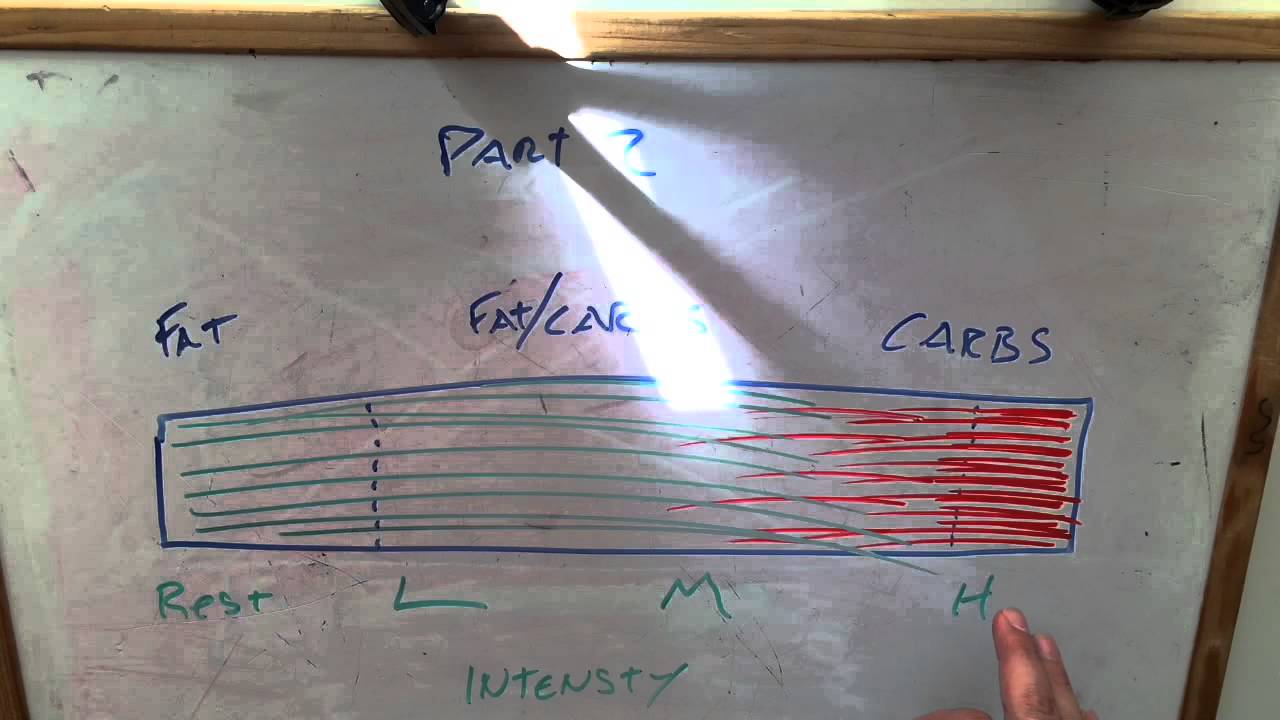 Hacking fat loss ( Energy Systems Part 2)