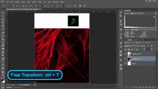 60s 'shop: How to Resize an Image in Photoshop