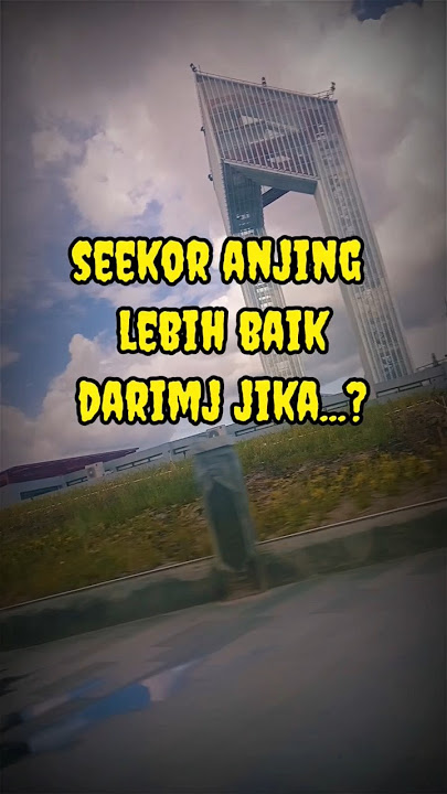 seekor anjing lebih baik dari pada kamu ❗quotes bijak motivasi sedih kekinian viral #short #shorts
