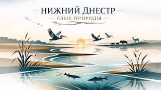 Нижний Днестр язык природы фильм screenshot 1