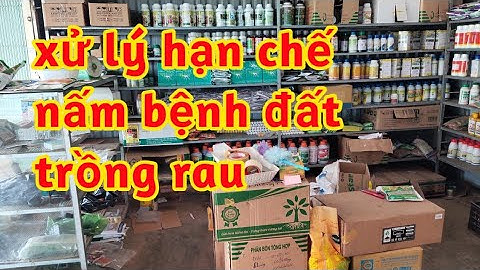 Giá thuốc xử lý đất