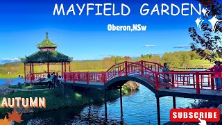 Mayfield Garden autumn tour: You HAVE to come here! (Nepalease student life in australia)