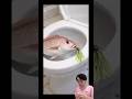 Toilet Fishing Hack 😂#shorts