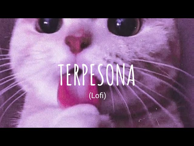 [Vietsub + Lyric] Terpesona (lofi) - Bulan, Gustixa | Music Tik Tok class=