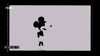 Dc2 mickey mouse test model by @BowserTheGAYTurtl3