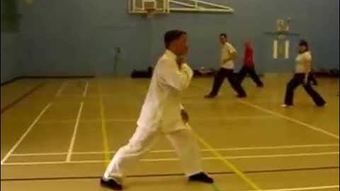 Fa Jing or Exploding Force in Shaolin Tantui