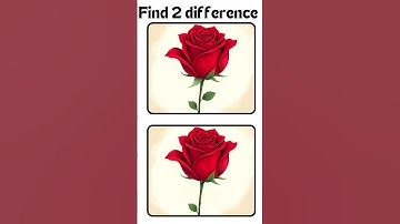 rose #find #spotthedifferencegam #puzzlequiz #findthedifferences1