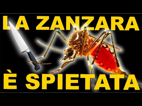 L'Animale Più PERICOLOSO Del Mondo