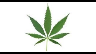 الحشيش الجزء 1 | weed history part 1