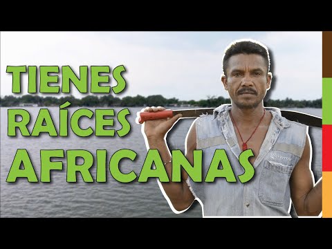 Capítulo 1. La impronta africana en el Estado de Veracruz. Veracruz Afrodescendiente