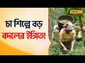 Bangla News | অসম মডেলে নতুন সম্ভাবনায় বাংলা, Darjeeling চায়ের বাজার রক্ষায় কড়া বার্তা #Local18