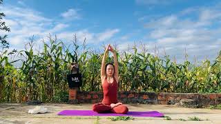 Elegant Poses  Yoga I Lovely yoga stretching in nature I HIP STRETCH, yoga pose,YOGA HUB ,FLEXIBLE