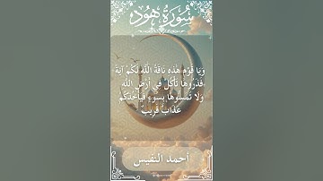 11 Hud  Al Sheikh Ahmad alnufais الشيخ أحمد النفيس   سورة هود 28
