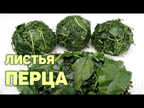 Как заготовить ЛИСТЬЯ ПЕРЦА на зиму. 2 способа! КОЧИНИПИ. КОРЕЙСКАЯ КУХНЯ Проще простого #149