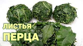 видео: Как заготовить ЛИСТЬЯ ПЕРЦА на зиму. 2 способа! КОЧИНИПИ. КОРЕЙСКАЯ КУХНЯ Проще простого картинка: Как заготовить ЛИСТЬЯ ПЕРЦА на зиму. 2 способа! КОЧИНИПИ. КОРЕЙСКАЯ КУХНЯ Проще простого