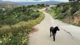 Good Morning From the Shelter ❤️ Rainy Days, No Days Off - Takis Shelter