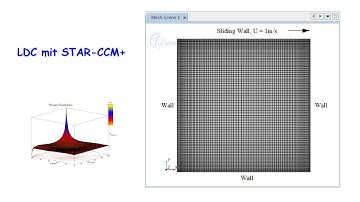 STAR-CCM+ Tutorial: Steady Flow: Lid-Driven Cavity Flow