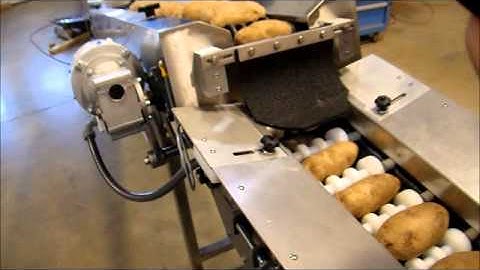 Emerald Automation Potato Infeed Inspection Conveyor2