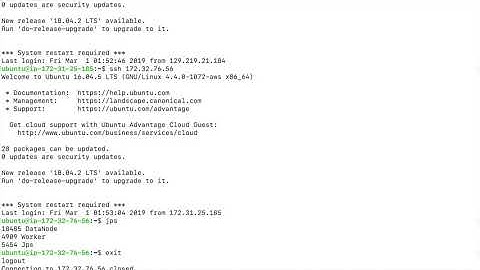 DDS Project Phase 1- Hadoop Cluster Demo