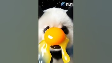 AI panda 🐼🐼 videos AI shorts #aishorts #aivideo #music #tranding #ytshorts #ai #100kview