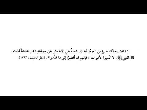 6516 حديث لا تسبوا الأموات فإنهم قد أفضوا إلى ما قدموا صحيح البخاري
