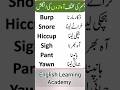Learn English Fast 🔥 | Daily Use Words with Urdu