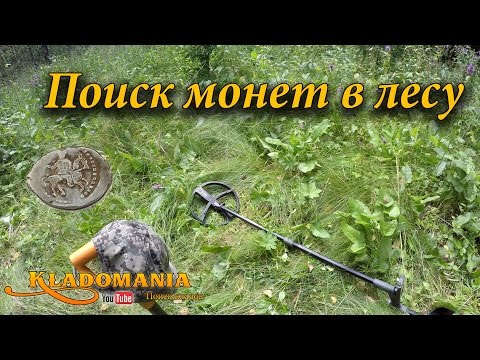 Поиск монет в лесу. Что можно найти в лесу с металлоискателем