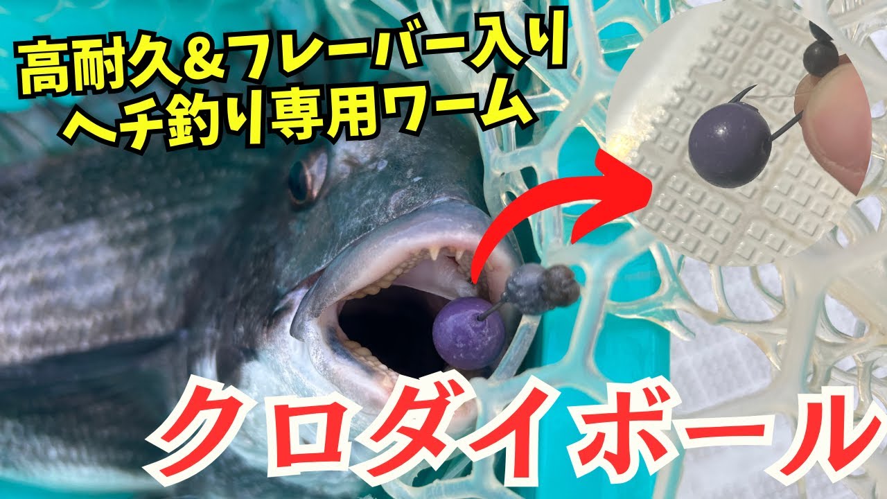 ミナミクロダイ 剥製 剥製作品 – 田中剥製 Tanaka Fish Taxidermy