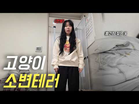 옷과 벽에 소변 테러한 고양이… CCTV 돌려봤습니다