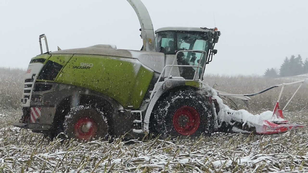Fendt, Claas, John Deere - Maisernte im Schnee 2021 /  Harvesting corn in the snow