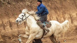 Суратҳои Човандозҳои Тоҷикистон (кисми 2) Бо Суруди Давлатманд Холов  #2021 #Бузкаши #Улок