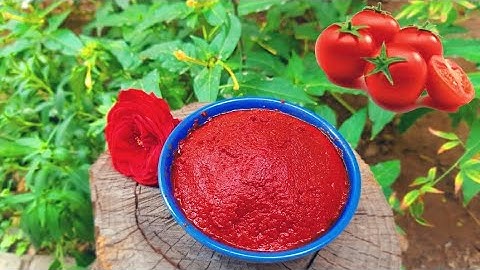 How to make Tomato Paste in village  II  Best Homemade Tomato Paste     طرز تهیه رب گوجه