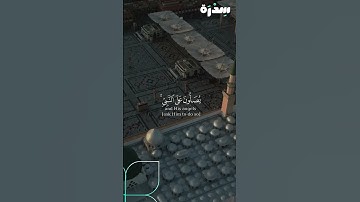 سورة الاحزاب اية 56 بصوت الشيخ #سليمان_بابطين