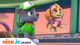 دوريات المخلاب | عملية إنقاذ سكاي للحيوانات | Nick Jr. Arabia