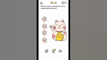 Brain Out Level 5 - Which Claw Is Similar To Cat