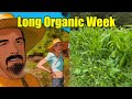 Organic Fertilizers vs Synthetic Fertilizers When to use WHAT