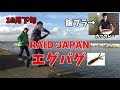 RAID JAPAN エグバグ 10月下旬 秋の霞ヶ浦 飯ブラ カツカレー編